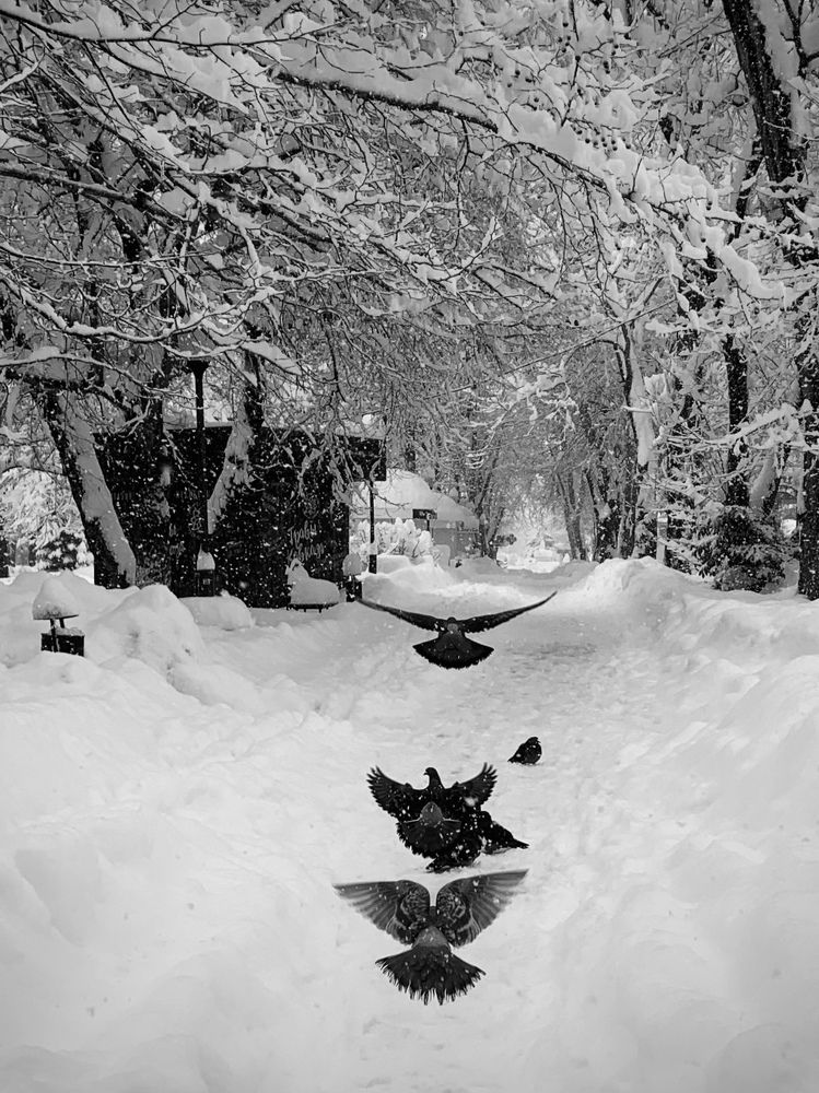 Photograph by Татьяна Семёнова