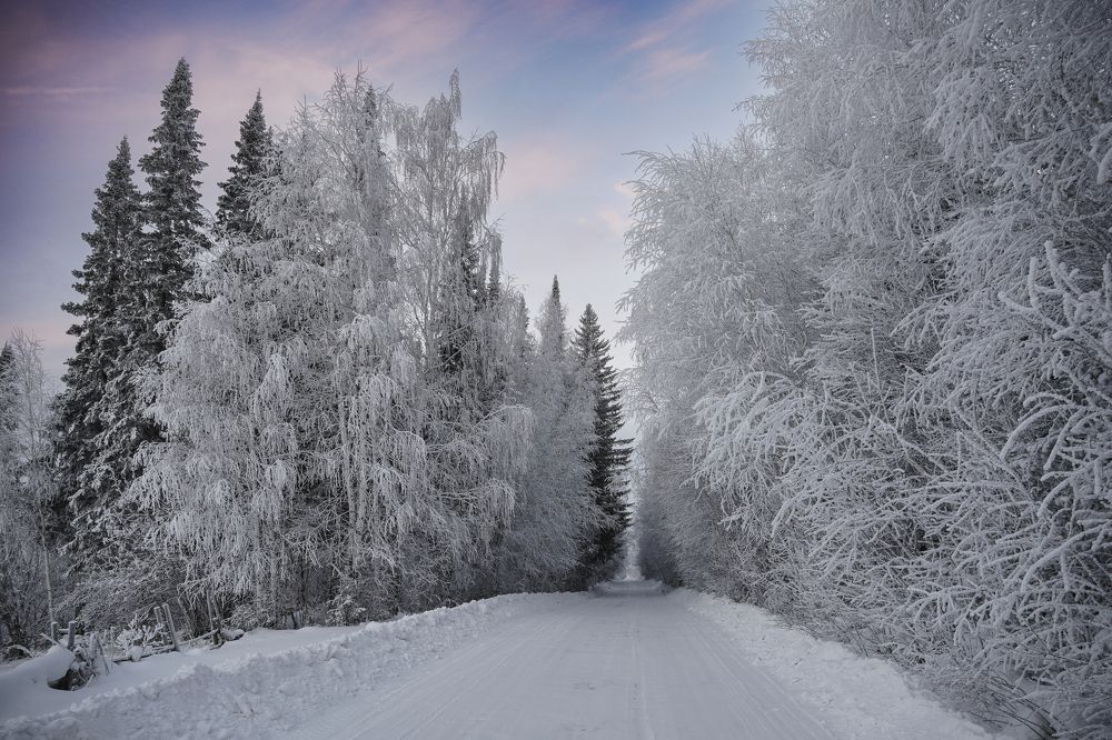 Photograph by Высотских Владимир