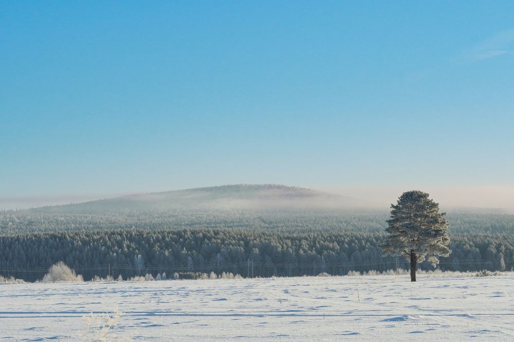 Photograph by Высотских Владимир