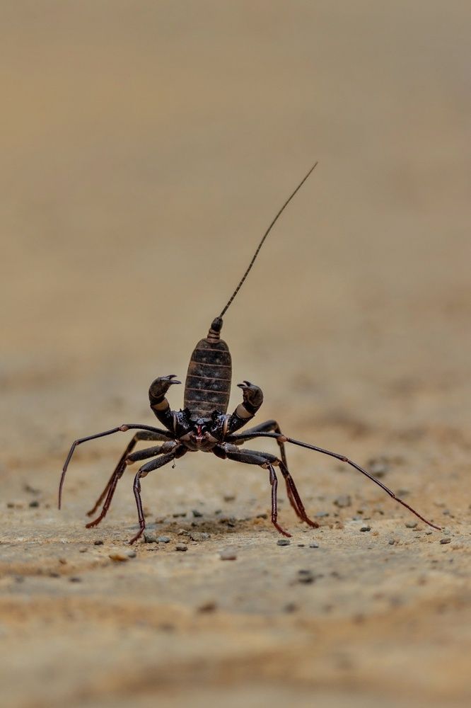 Photograph by Mili Rajkumari