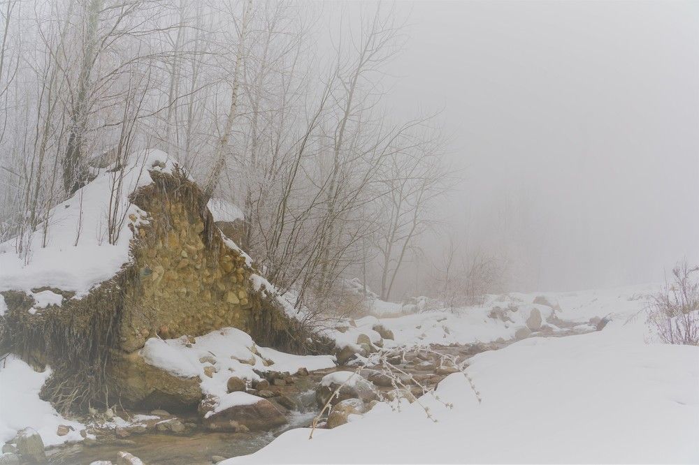 Фотография автора Rinat