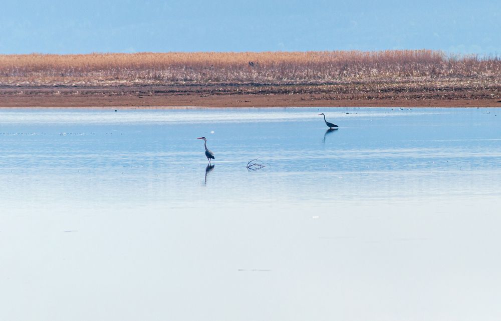 Photograph by Денис Кичев