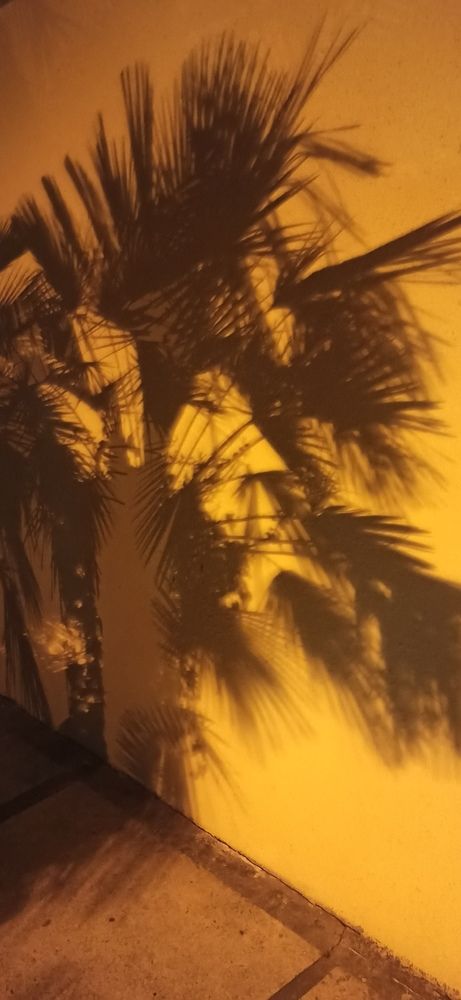 Photograph by Ольга Тихонова