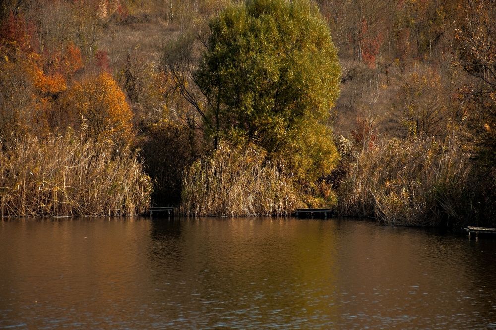 Photograph by Екатерина Игоревна