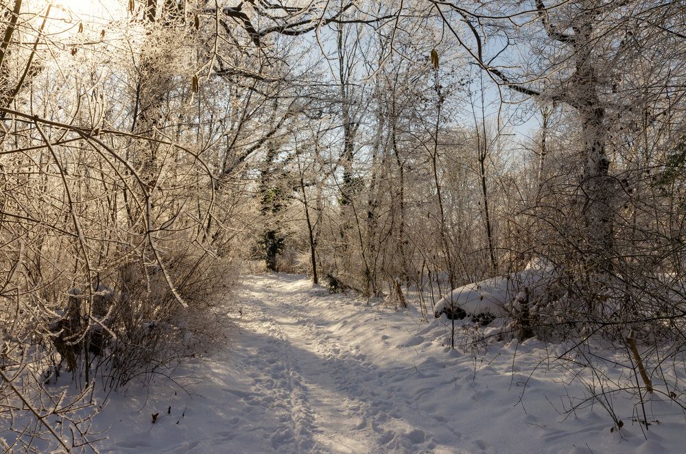 Photograph by Oleg Yashin