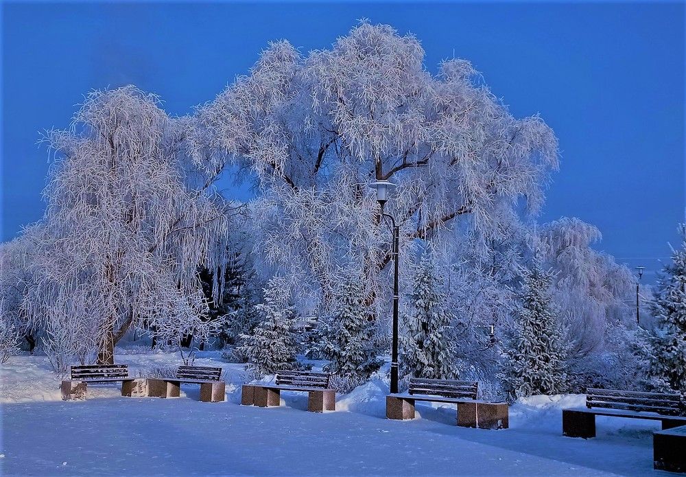 Photograph by Inna Oshe