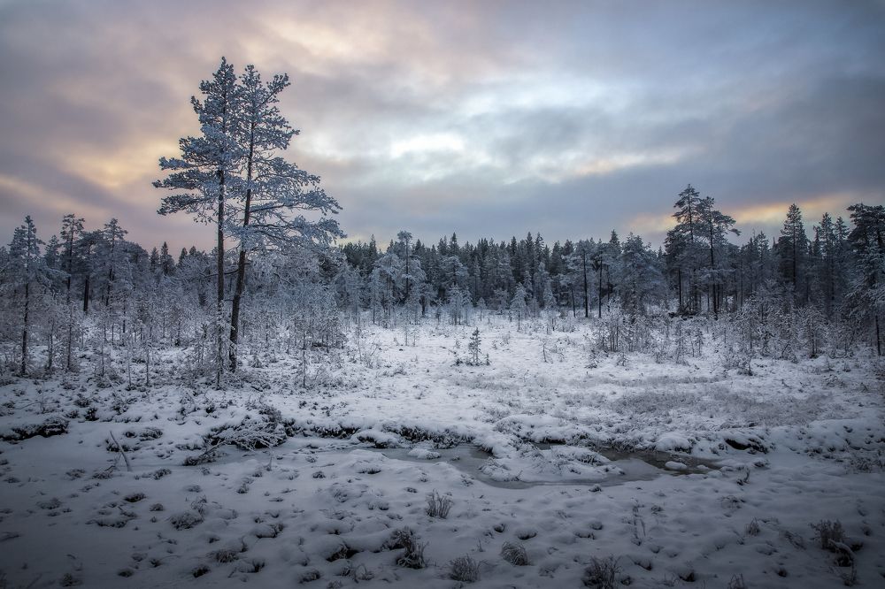 Photograph by Гусева Елена