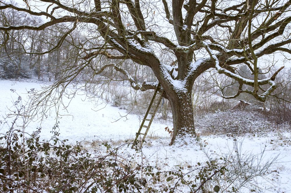 Фотография автора Uljana Kuchar