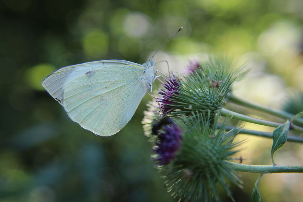 Photograph by Yordanka Vasileva