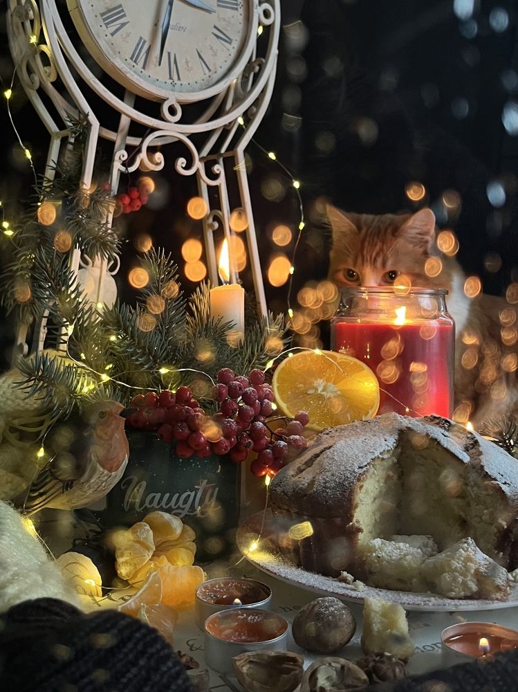 Photograph by Yuliya Altunyuva