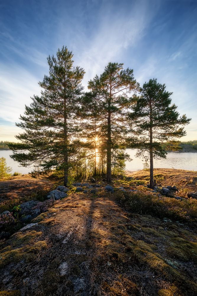 Фотография автора Николай Носов
