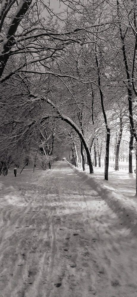 Photograph by Katsiaryna Feaktsistava