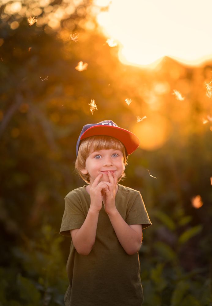 Летний вечер