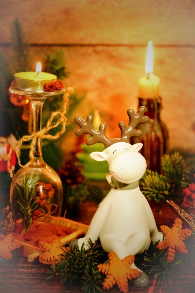 Фотография автора НАТАЛЬЯ СЕВЕР