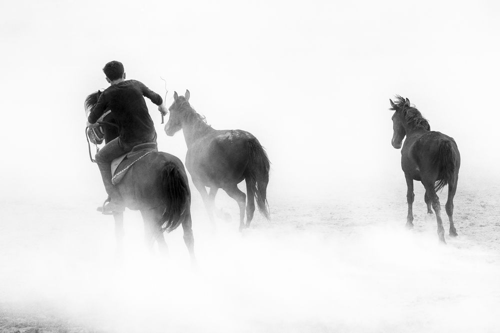 Фотография автора Aylin Turnator