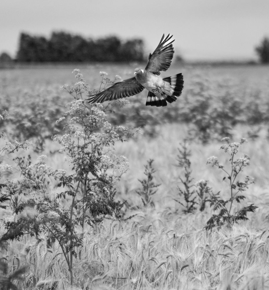 Photograph by Vitalii Kaznin