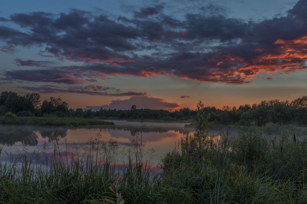 Photograph by Гусева Елена