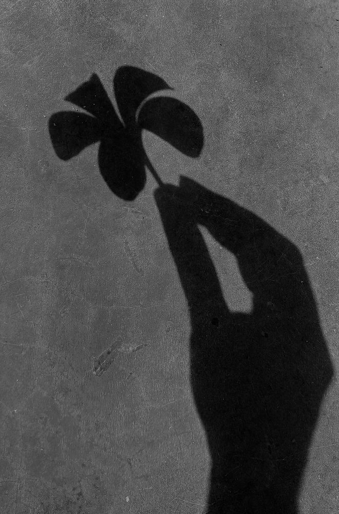 Фотография автора Laddu Sasindu Pramuditha De Silva