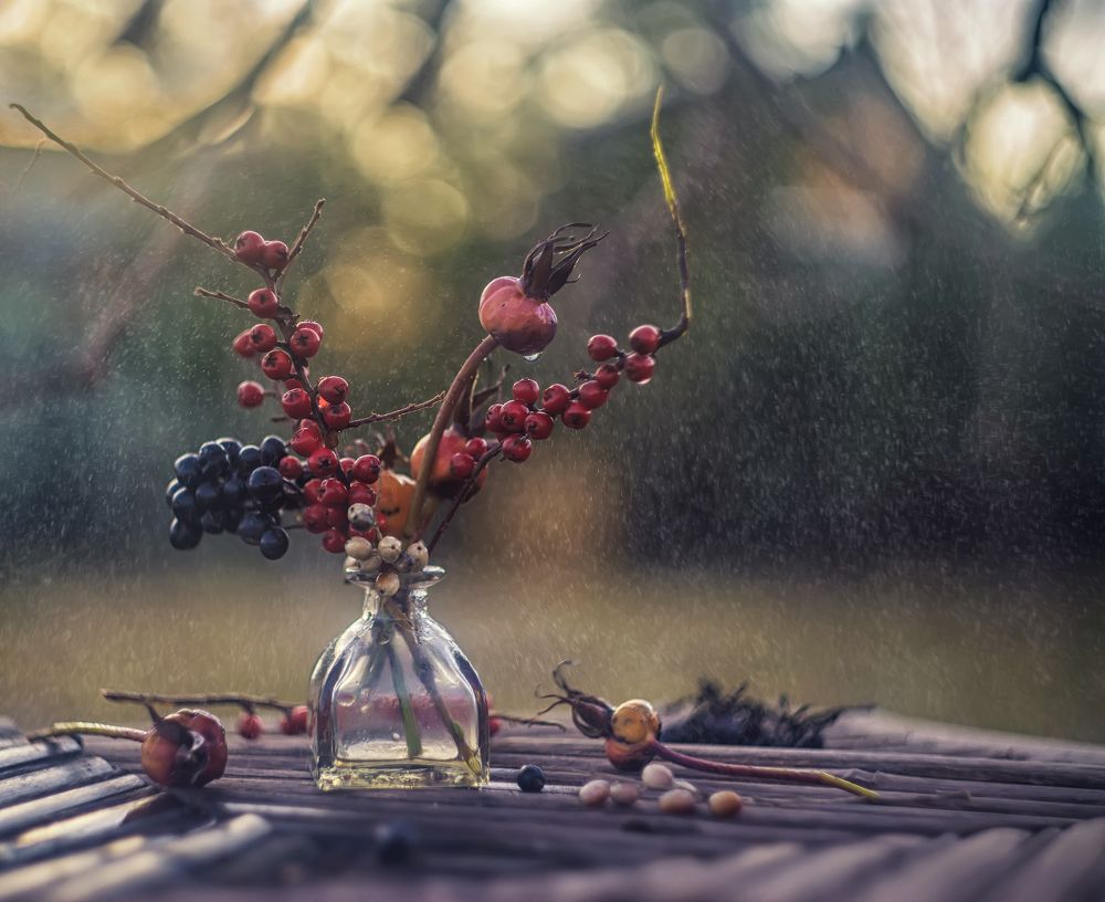 Фотография автора Сигидова Ирина