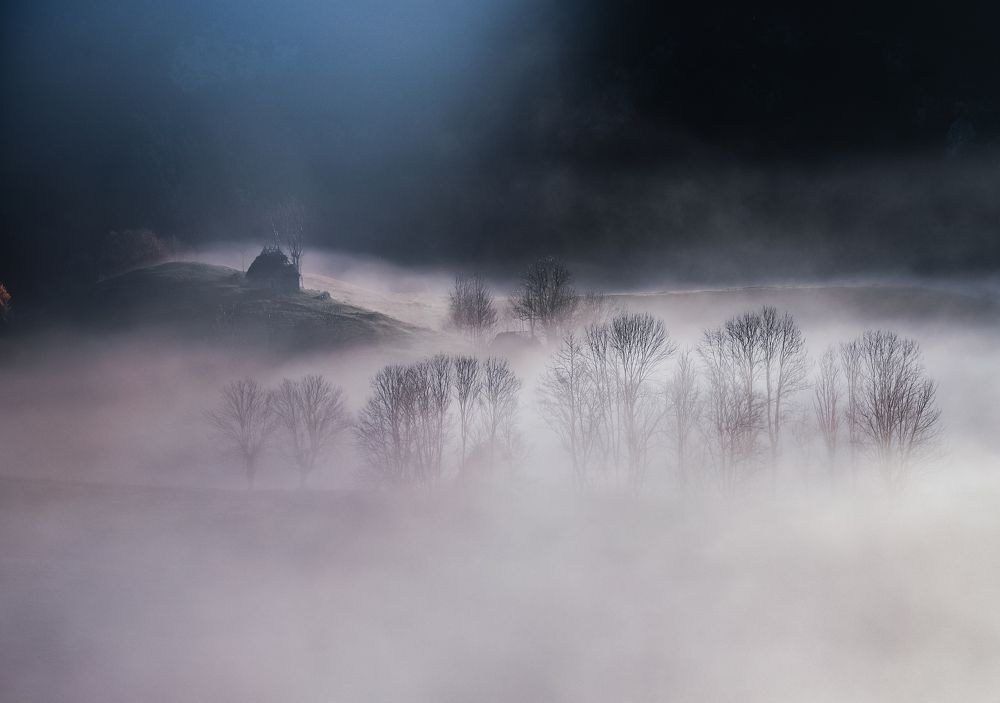 Фотография автора Flegner Calin