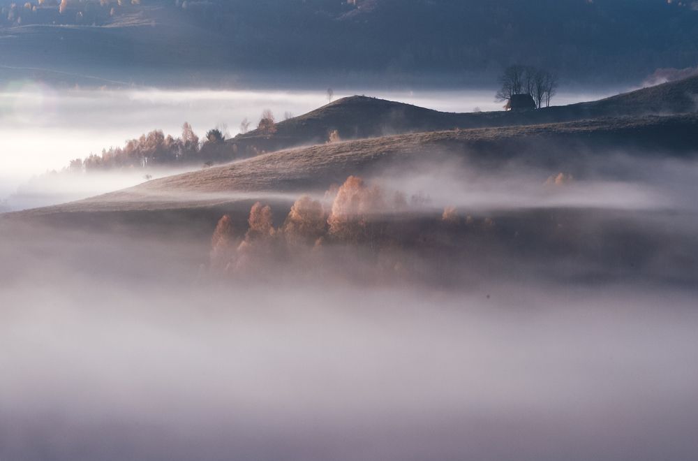 Фотография автора Flegner Calin