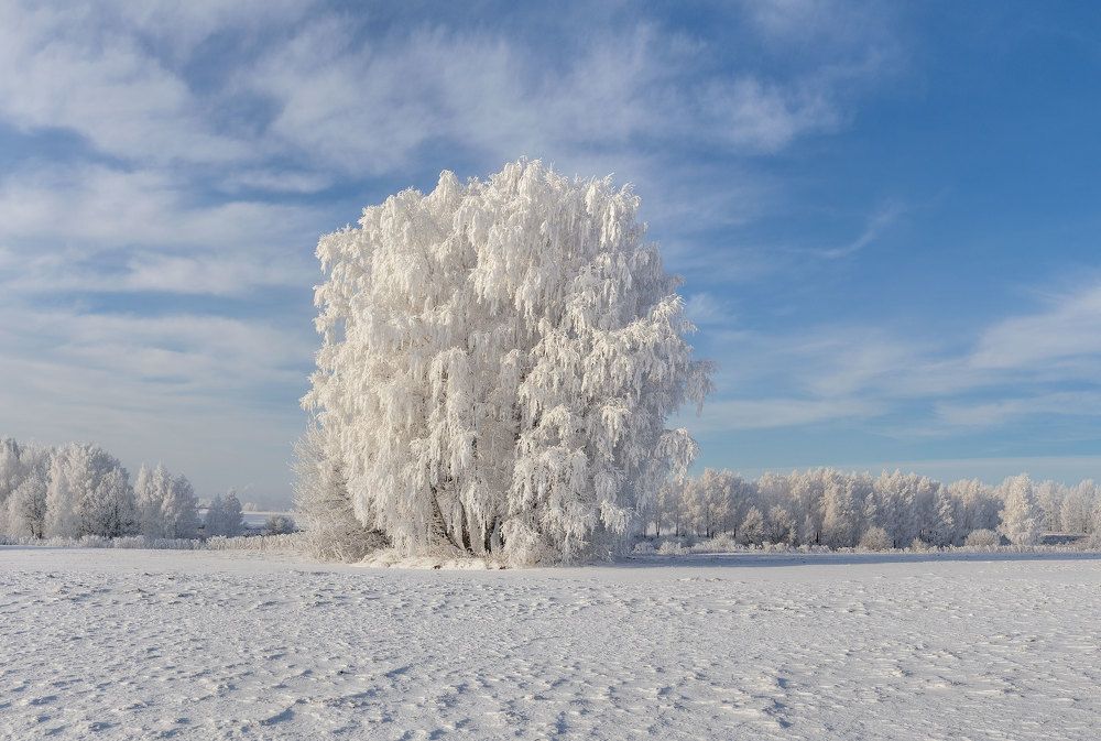 Фотография автора Николай Носов