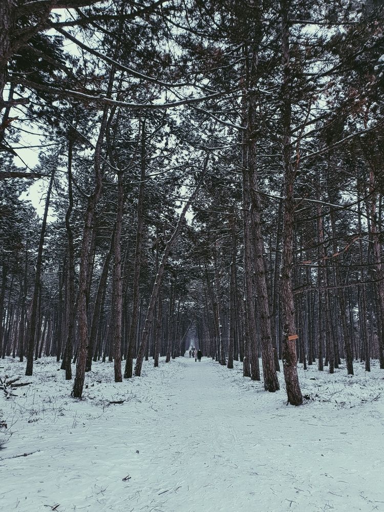 Photograph by Анна Лефлер