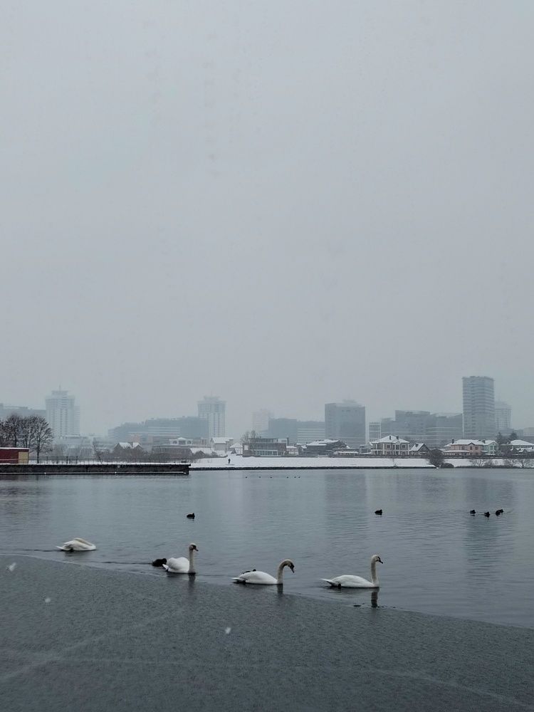 Photo #8588095