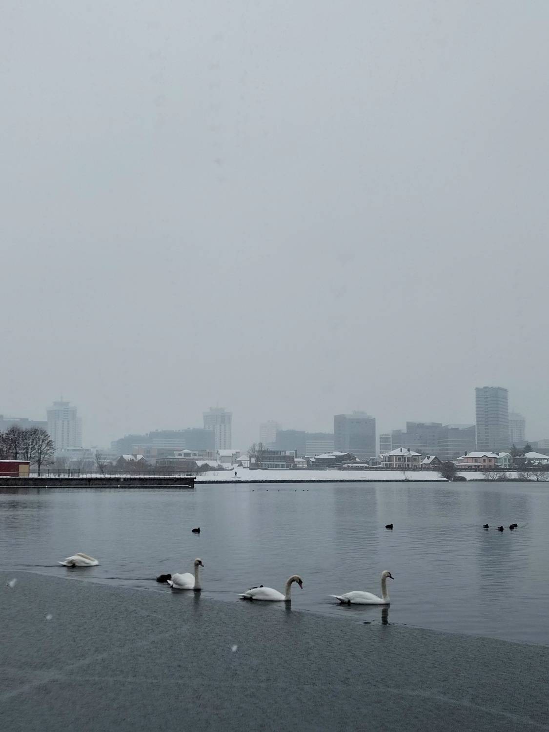 Photo #8588095