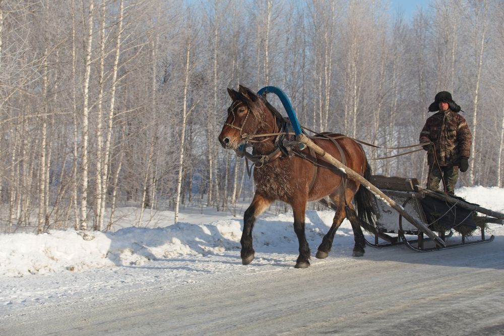 Photograph by Игорь Щербаков