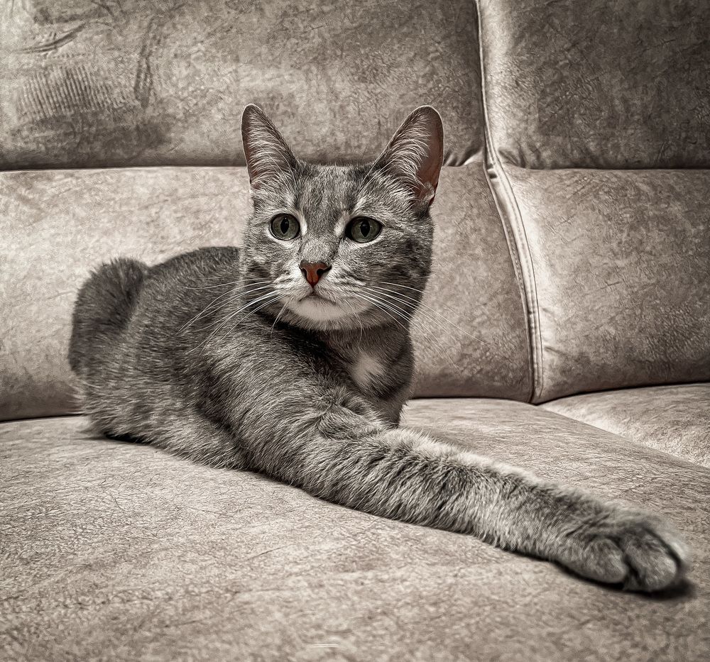 Photograph by Юлия Андреева