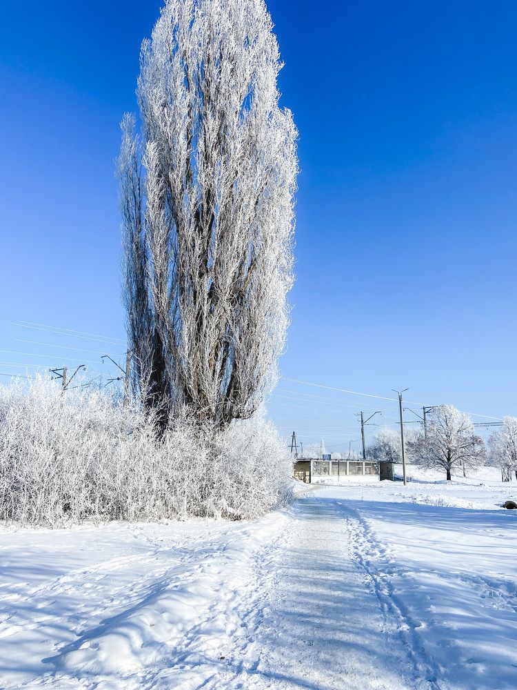 Photograph by Олена Уманцева