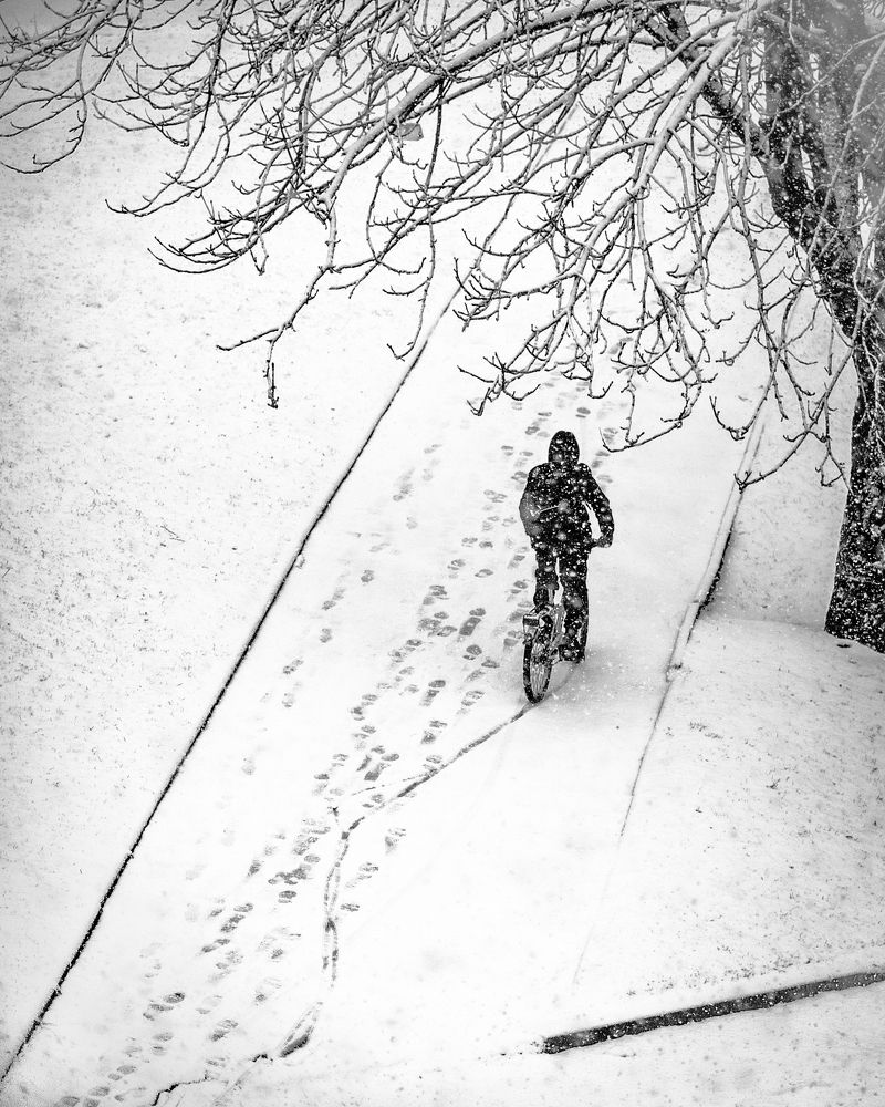 Photograph by Лапшин Алексей