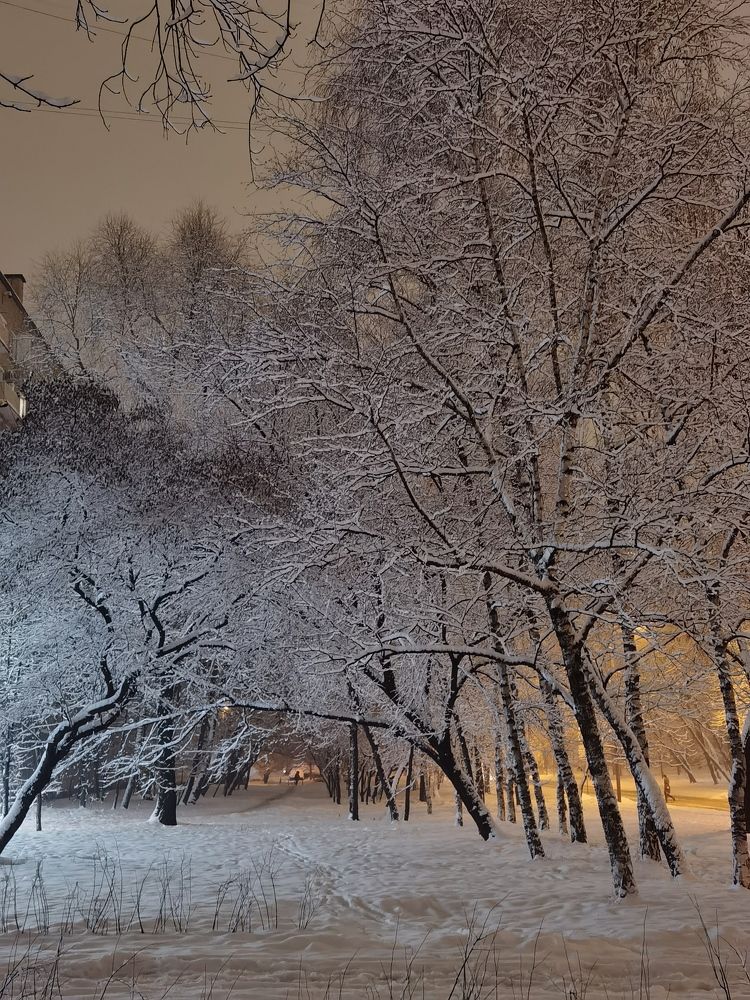Photograph by Анастасия Апархова