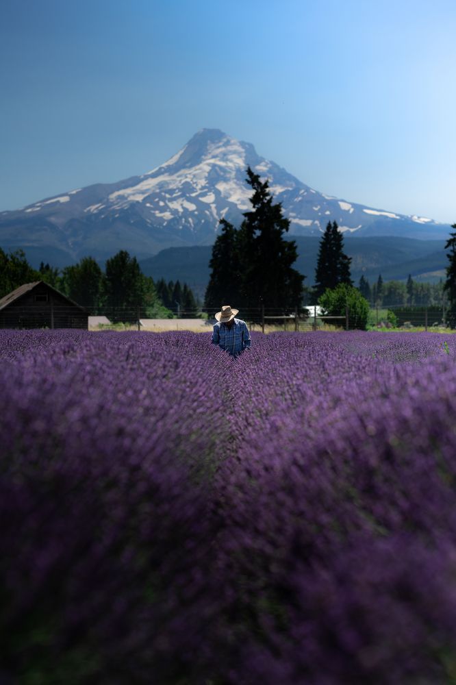 Photograph by Kyle Rosso