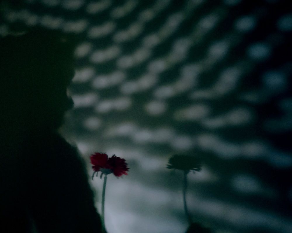 Photograph by Nushin Saboohi