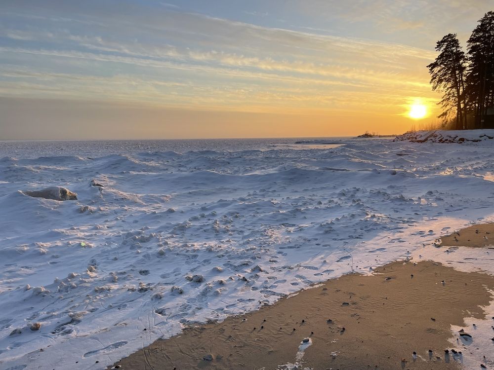 Photograph by Алина Камбулина