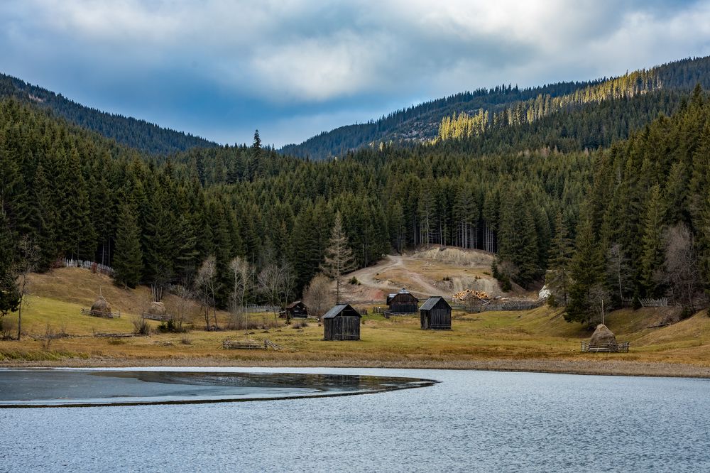 Фотография автора COMSA BOGDAN