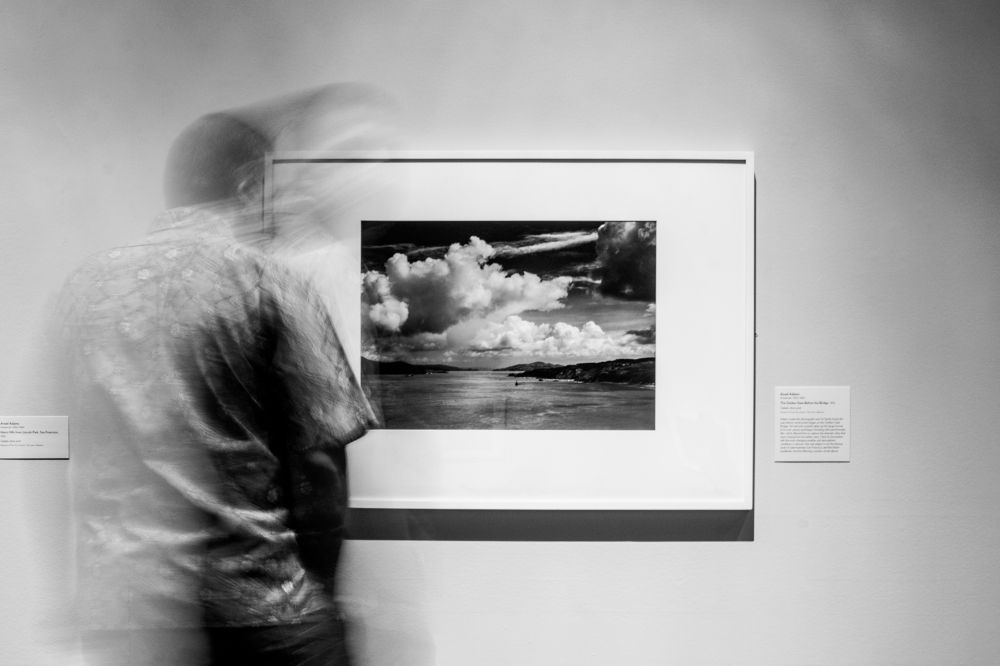 Photograph by Kyle Rosso