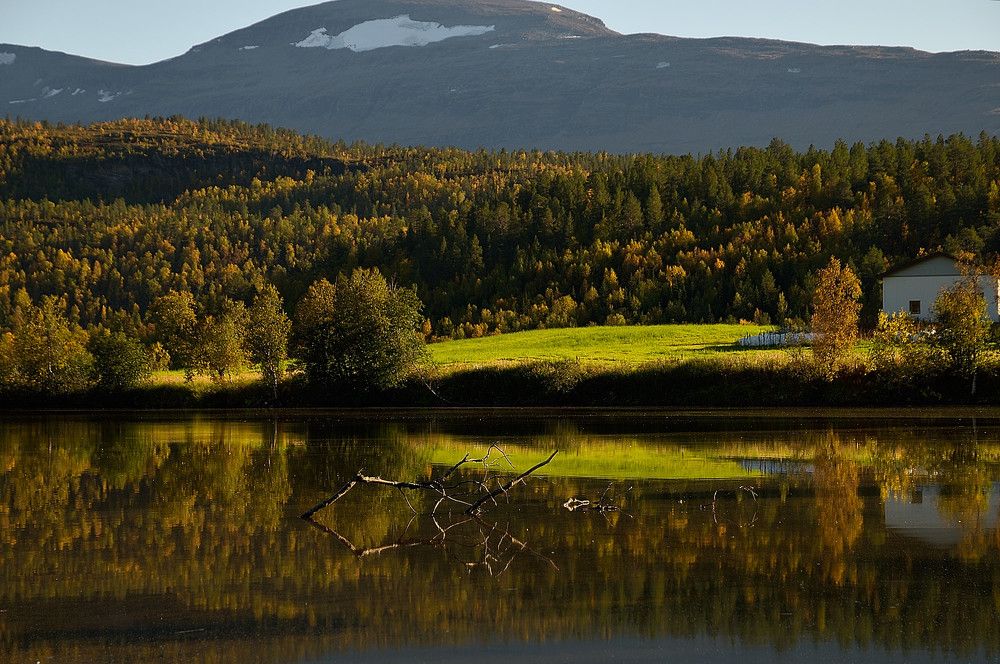 Photograph by Radu Marian