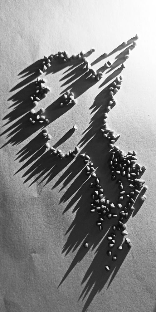 Photograph by Ольга Левакова