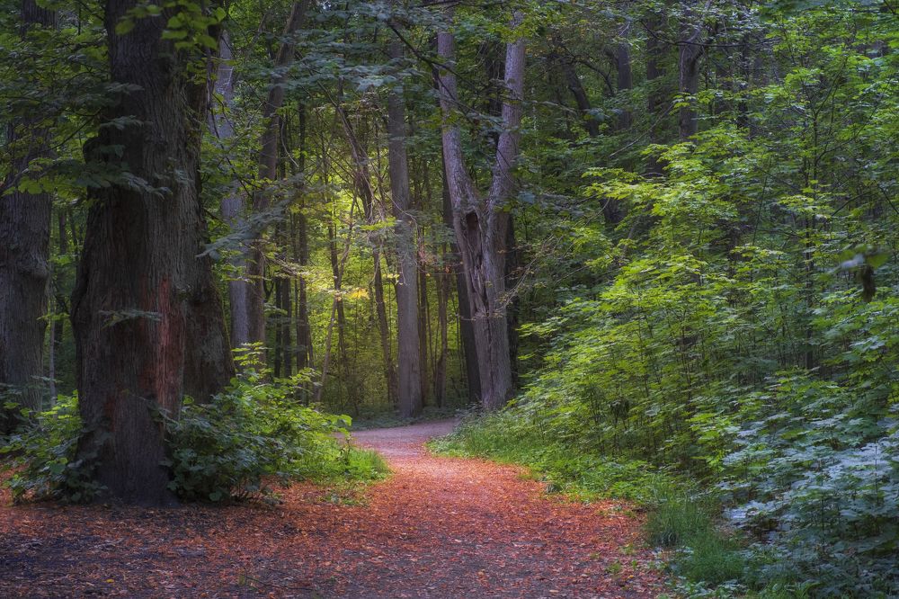 Photograph by Светлана Краюшкина