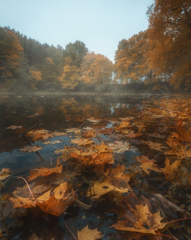 Фотография автора Мартыненко Дмитрий