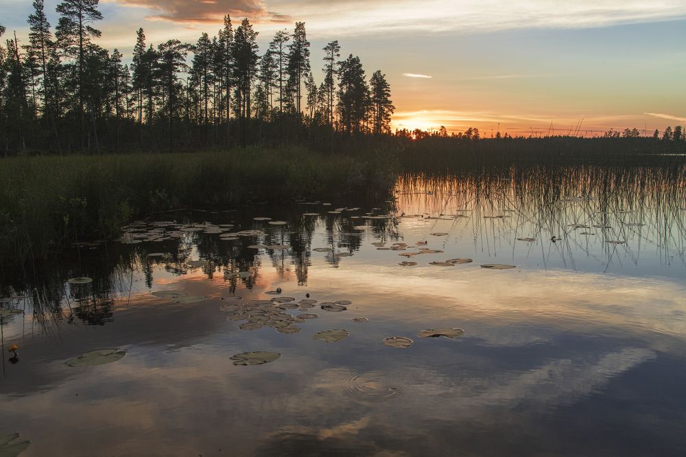 Фотография автора Uljana Kuchar