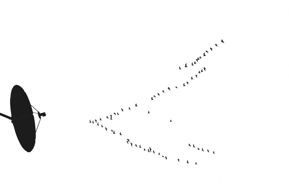 Photograph by Bence Gyenis