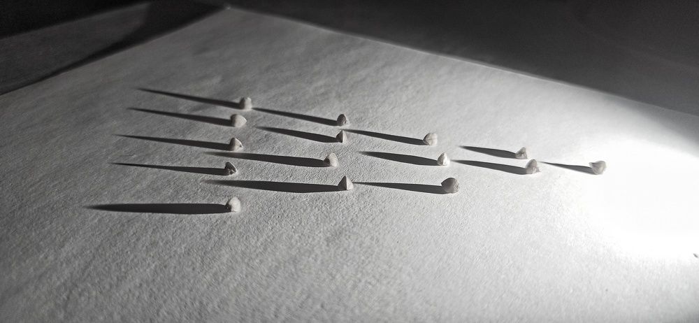 Photograph by Ольга Левакова