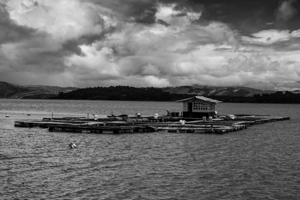 Фотография автора Jose Marcos Carvajal Tarazona