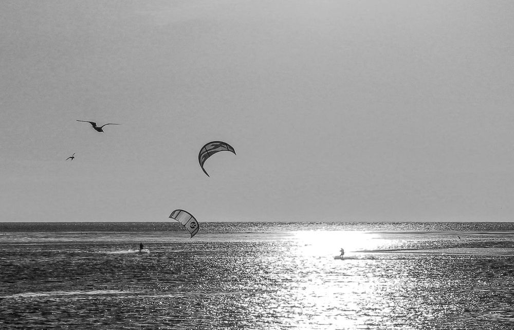 Photograph by Ольга Ситникова