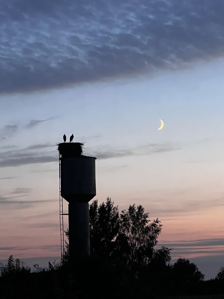 Photograph by Наталья