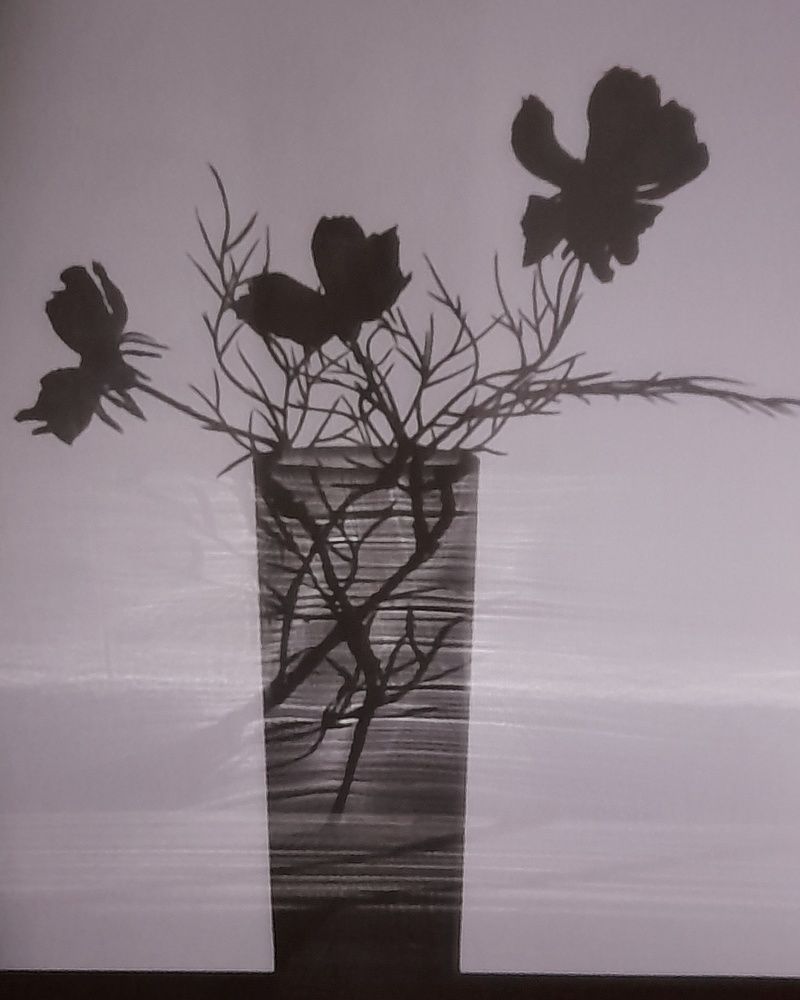 Photograph by Ольга Березовская